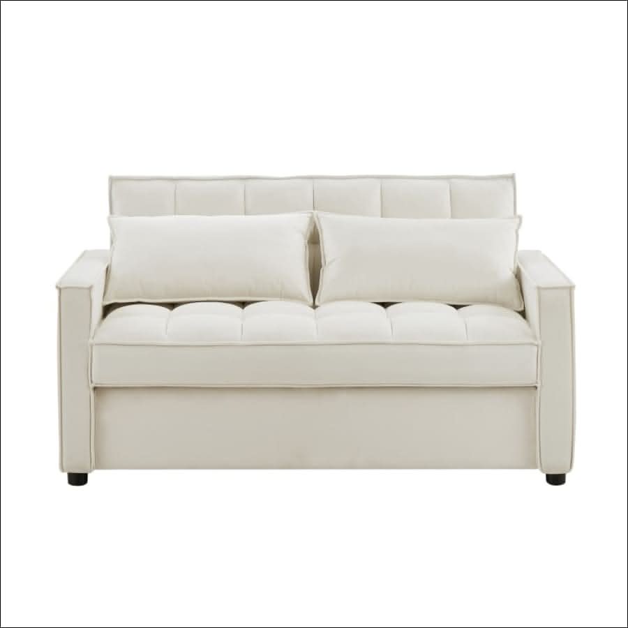 sofa - Modern Comfort Velvet Pull Out Couch, Sleeper Sofa - hausgem